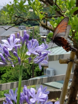 Work NATURE Work NATURE